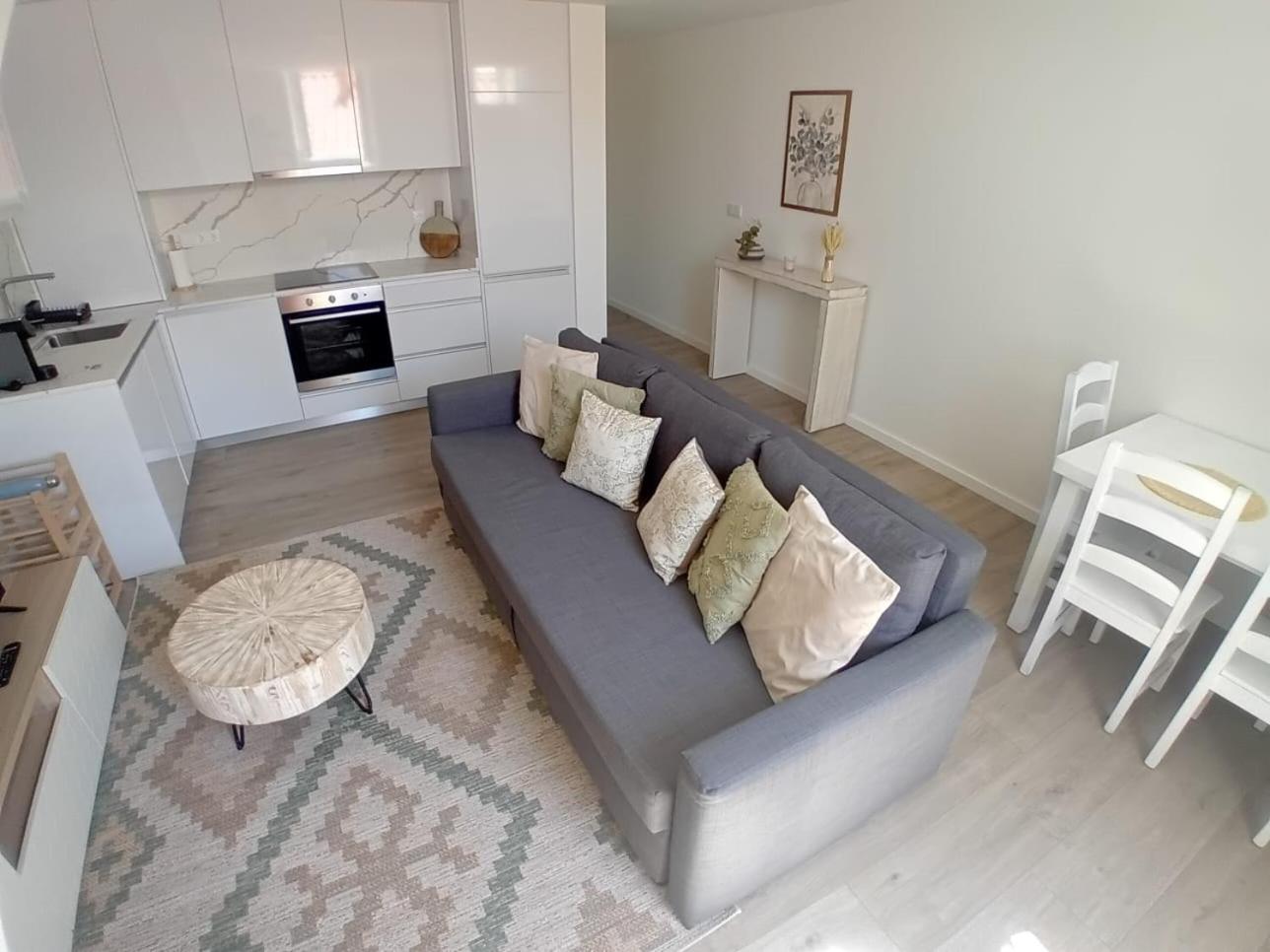 Lua Rooftop Apartment Viana do Castelo Dış mekan fotoğraf